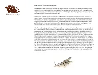 Overview of the Acorn Group, Inc. Blending the Skills of Planners