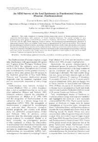 An SEM Survey of the Leaf Epidermis in Danthonioid Grasses (Poaceae: Danthonioideae)