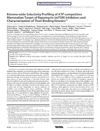 Kinome-Wide Selectivity Profiling of ATP-Competitive Mammalian Target of Rapamycin (Mtor) Inhibitors and Characterization Of