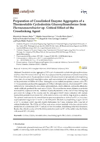 Preparation of Crosslinked Enzyme Aggregates of a Thermostable Cyclodextrin Glucosyltransferase from Thermoanaerobacter Sp
