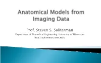 Anatomical Models from Imaging Data