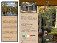 Caddo Lake State Park Interpretive Guide