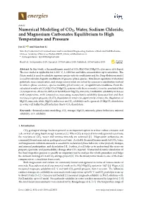 Numerical Modeling of CO2, Water, Sodium Chloride, and Magnesium Carbonates Equilibrium to High Temperature and Pressure