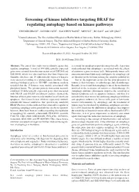 Screening of Kinase Inhibitors Targeting BRAF for Regulating Autophagy Based on Kinase Pathways