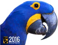 Annual Report