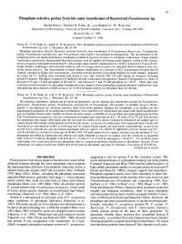 Phosphate-Selective Porins from the Outer Membranes of Fluorescent Pseudomonas Sp