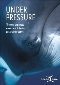 UNDER PRESSURE. the Need to Protect Whales and Dolphins In