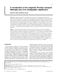 A Reevaluation of the Enigmatic Permian Synapsid Watongia and of Its Stratigraphic Significance