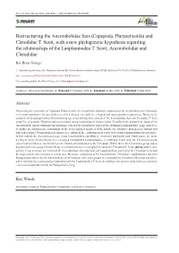 Copepoda, Harpacticoida) and Cletodidae T