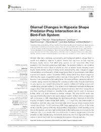 Diurnal Changes in Hypoxia Shape Predator-Prey Interaction in a Bird-Fish System