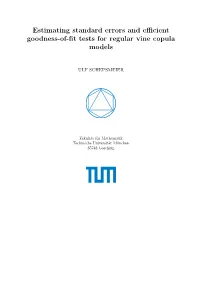 Estimating Standard Errors and Efficient Goodness-Of-Fit Tests For