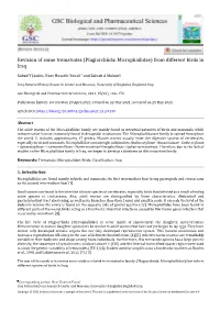 Revision of Some Trematodes (Plagiorchiida: Microphallidae) from Different Birds in Iraq