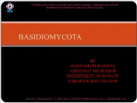 Basidiomycota