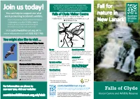 Falls of Clyde by Making a Donation Today