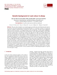 Genetic Background of Coat Colour in Sheep