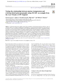 Testing the Relationship Between Marine Transgression and Evolving Island Palaeogeography Using 3D GIS: an Example from the Late Triassic of SW England