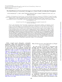The Identification of Concerted Convergence in Insect