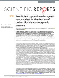 An Efficient Copper-Based Magnetic Nanocatalyst for the Fixation