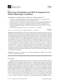 Expression, Distribution and Role of Aquaporins in Various Rhinologic Conditions