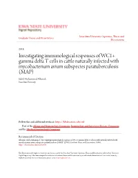 Investigating Immunological Responses of WC1+ Gamma Delta T