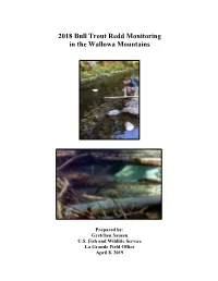2018 Bull Trout Redd Monitoring in the Wallowa Mountains