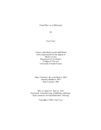 Franz Marc As an Ethologist by Jean Carey a Thesis Submitted in Partial