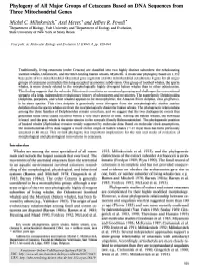 Phylogeny of All Major Groups of Cetaceans Based on DNA Sequences from Three Mitochondrial Genes