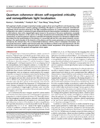 Quantum Coherence–Driven Self-Organized Criticality