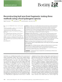 Reconstructing Leaf Area from Fragments: Testing Three Methods Using a Fossil Paleogene Species