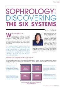 Sophrology: Discovering the Six Systems
