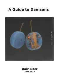 A Guide to Damsons