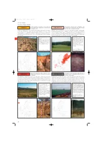 ANTHROSOLS Profound Changes in Soil Properties (From the Greek, Meaning Soil)
