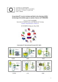 Generation IV Reactor Systems and Fuel Cycles (Horizon 2030): Technological Breakthroughs in Nuclear Fission (Int'l RD&DD)