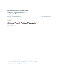 Intellectual Property Pools and Aggregation