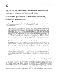 New Records of Fleas (Siphonaptera: Ctenophthalmidae