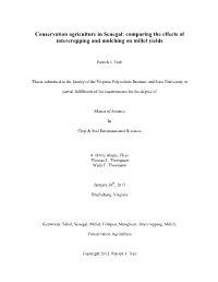 Conservation Agriculture in Senegal: Comparing the Effects of Intercropping and Mulching on Millet Yields