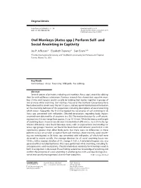 Owl Monkeys ( Aotus Spp.) Perform Self- and Social Anointing in Captivity