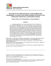 A Revision of the Fossil Mandible from Rusce in the Pčinja Basin (Late Eocene, Southeastern Serbia)