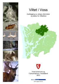 Viltet I Voss