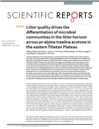 Litter Quality Drives the Differentiation of Microbial Communities In