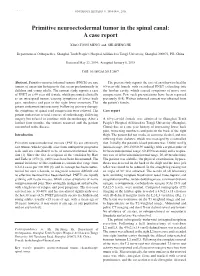 Primitive Neuroectodermal Tumor in the Spinal Canal: a Case Report