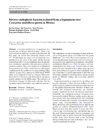 Diverse Endophytic Bacteria Isolated from a Leguminous Tree Conzattia Multixora Grown in Mexico