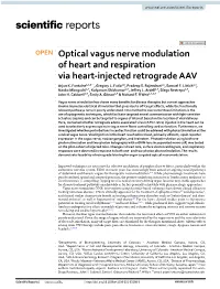 Optical Vagus Nerve Modulation of Heart and Respiration Via Heart‑Injected Retrograde AAV Arjun K