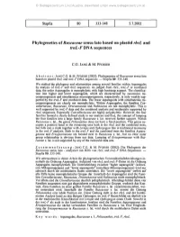 Phylogenetics of Ruscaceae Sensu Lato Based on Plastid Rbcl and Trnl-F DNA Sequences