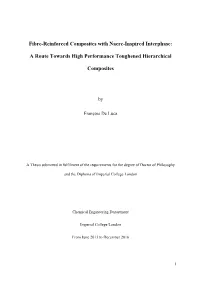 Fibre-Reinforced Composites with Nacre-Inspired Interphase