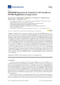 FAM188B Expression Is Critical for Cell Growth Via FOXM1 Regulation in Lung Cancer