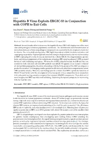 Hepatitis B Virus Exploits ERGIC-53 in Conjunction with COPII to Exit Cells