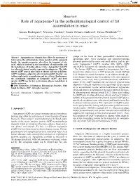 Role of Aquaporin-7 in the Pathophysiological Control of Fat Accumulation in Mice