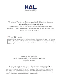 Uranium Uptake in Paracentrotus Lividus Sea Urchin, Accumulation