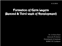Formation of Germ Layers (Second & Third Week of Development)